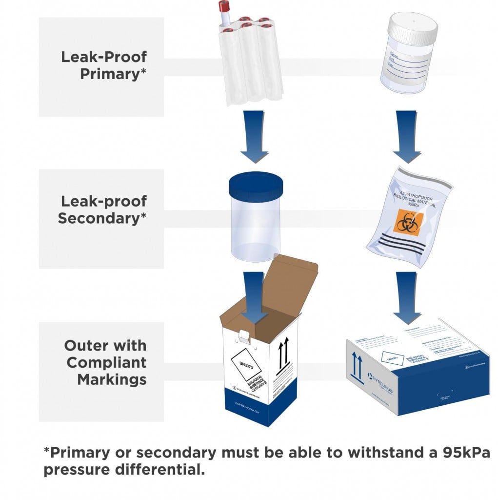 regulations-intelsius-a-dgp-company-cold-chain-packaging-solutions