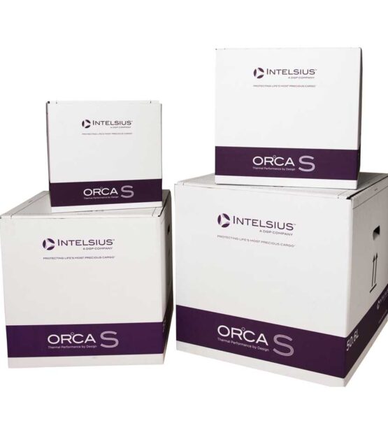 orca s group