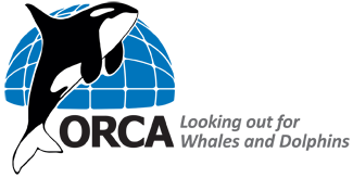 orca logo text 01 6b2194e1