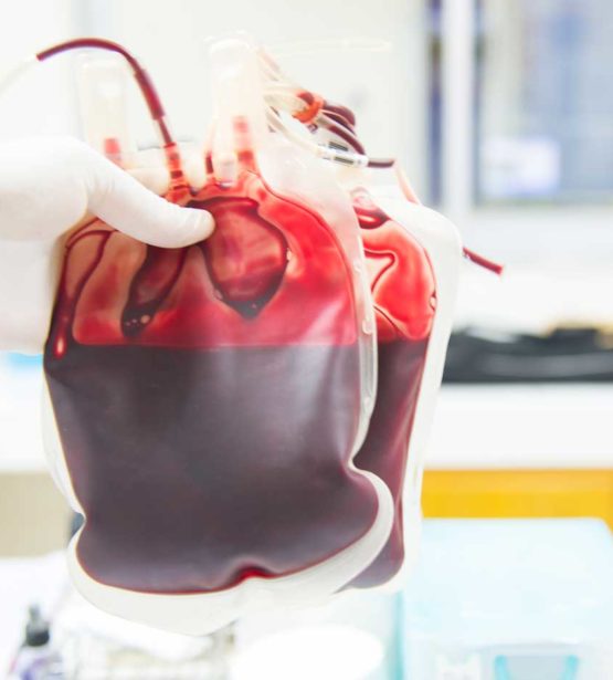 Blood Bags for Blood Transportation