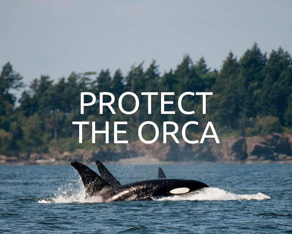 orca project