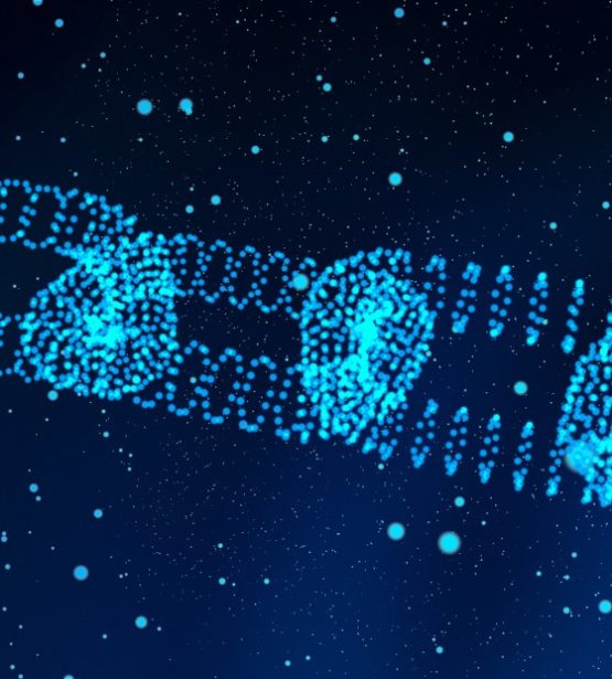 blockchain