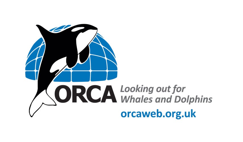 Intelsius Employees Complete Second Sea Safari of 2025 3 ORCA LOGO with web