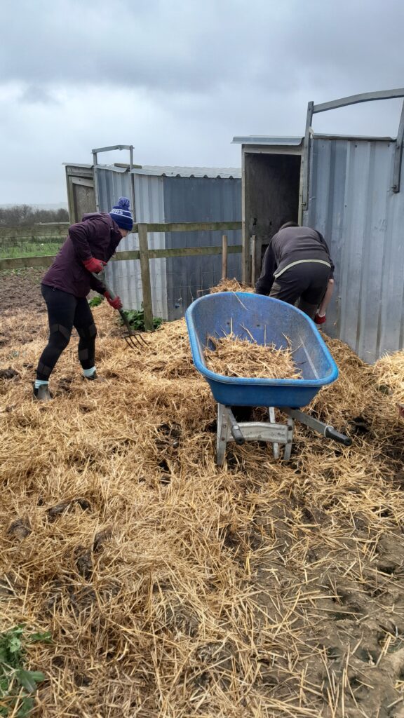 Intelsius Volunteers at Whitby Wildlife Sanctuary 2 20260324 114358