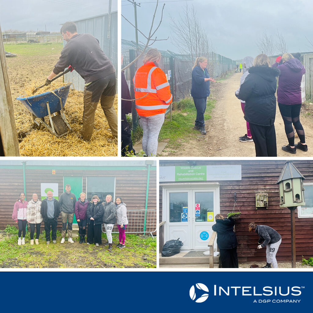 Intelsius Volunteers at Whitby Wildlife Sanctuary 3 whitby social